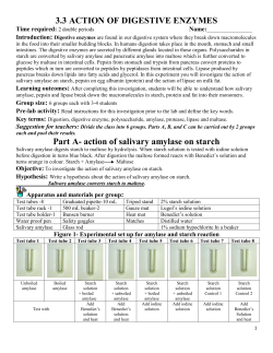 3.3 ACTION OF DIGESTIVE ENZYMES Time required: 2 double
