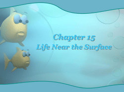 Chapter 15