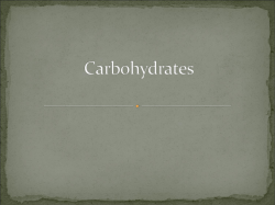 Carbohydrates. - PassFinal.com