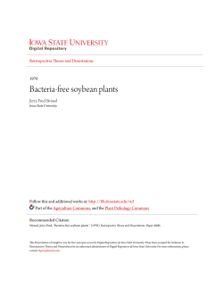 Bacteria-free soybean plants - Iowa State University Digital Repository