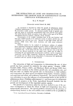 THE INTERACTION OF LIGHT AND TEMPERATURE IN
