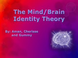 The Mind/Brain Identity Theory By