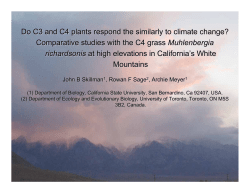 Do C3 and C4 plants respond the similarly to climate change