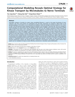 Computational Modeling Reveals Optimal Strategy for Kinase
