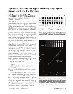 Epithelial Cells and Pathogens - The Odyssey System Brings light