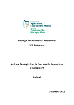 Strategic Environmental Assessment SEA Statement National