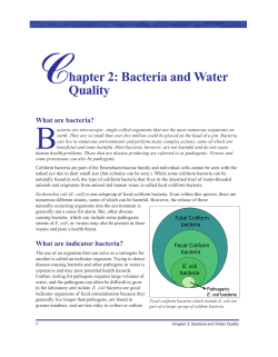 Chapter 2: Bacteria and Water Quality