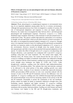 Effects of drought stress on root physiological traits and root biomass