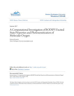 A Computational Investigation of BODIPY Excited
