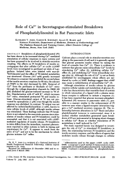 Role of Ca2+ in Secretagogue-stimulated Breakdown of