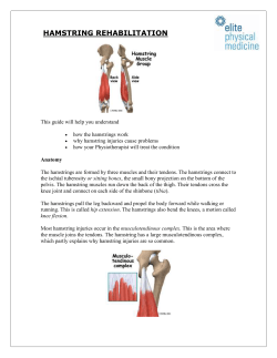 A Patient`s Guide to Hamstring Injuries