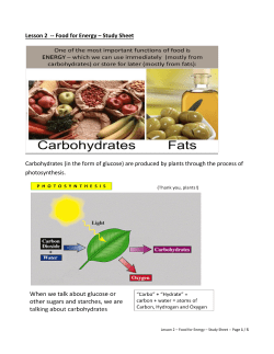 Lesson 2 -- Food for Energy &ndash; Study Sheet Carbohydrates (in the