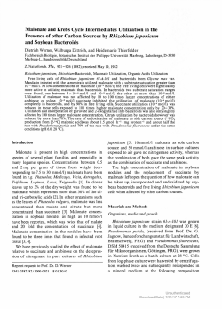 Malonate and Krebs Cycle Intermediates Utilization in