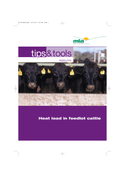 Heat load in feedlot cattle