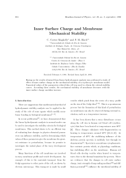 Inner Surface Charge and Membrane Mechanical Stability