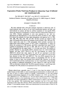Expression of Early Viral Gene Products in Adenovirus Type 12