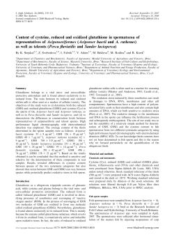 Content of cysteine, reduced and oxidized glutathione in