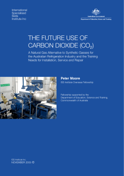 the future use of carbon dioxide (co2)