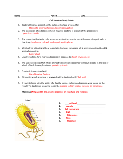 Name Period Date_____________________ Cell Structure Study