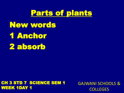 Constitutes of Diet - Gajwani International School