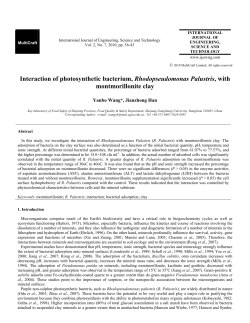 Interaction of photosynthetic bacterium, Rhodopseudomonas
