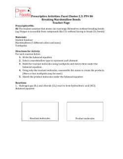 FC 2.3 PA 86 Marshmallow Activity Breaking Bonds