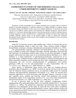 expression pattern of trichoderma cellulases under different carbon