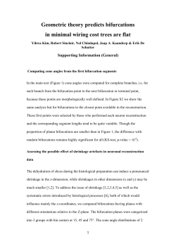 Geometric theory predicts bifurcations in minimal wiring cost trees
