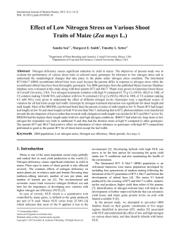 IBM population, Low nitrogen stress, Nitrogen use efficiency, Shoot