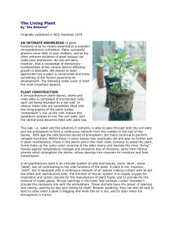 The Living Plant - National Chrysanthemum Society
