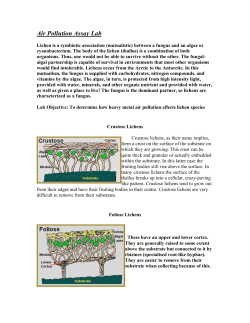 Air Pollution Assay Lab