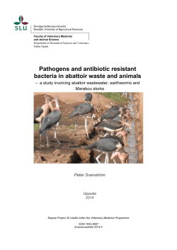 Pathogens and antibiotic resistant bacteria in abattoir waste and