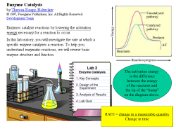 Lab 02 Review STUDENT
