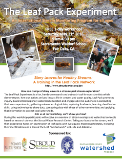 Slimy Leaves for Healthy Streams: A Training in the Leaf Pack Network