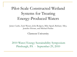 Pilot-Scale Constructed Wetland Systems for Treating Energy