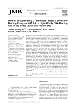 Motif III in Superfamily 2 &ldquo;Helicases&rdquo; Helps Convert the Binding