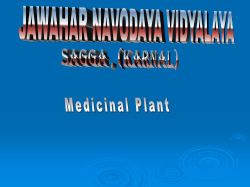 Slide 1 - eLanguages