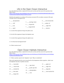 Interactive Worksheet (use with provided links) File
