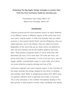 Protecting The Big Apple: Design strategies to protect