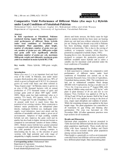 Comparative Yield Performance of Different Maize (Zea mays L