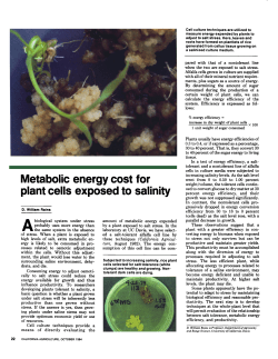 Metabolic energy cost for plant cells exposed to salinity
