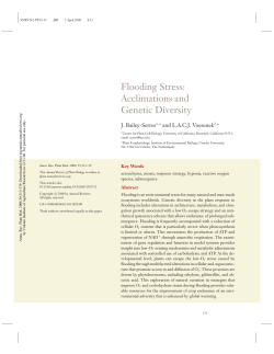 Flooding Stress: Acclimations and Genetic Diversity