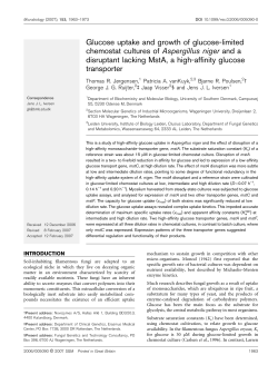 Glucose uptake and growth of glucose-limited chemostat