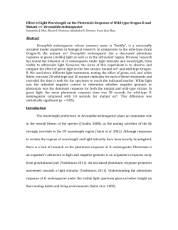 Effect of Light Wavelength on the Phototaxis