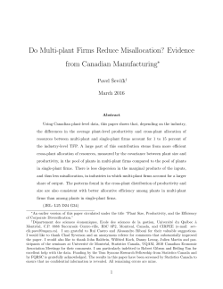 Do Multi-plant Firms Reduce Misallocation? - Sevcik