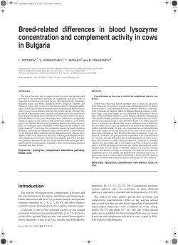 Breed-related differences in blood lysozyme concentration and