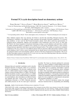Formal TCA cycle description based on elementary actions