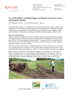 Use of Shredded Leaf Mulch Improves Potatoes Grown for Local