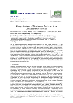 Energy Analysis of Bioethanols Produced from