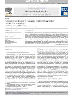 Fluorescence spectroscopy of rhodopsins: Insights and approaches